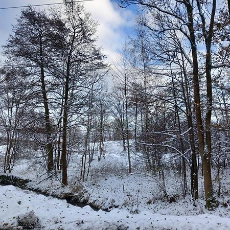 Szewska Pasja Agroturystyka Wiejska Leśna Exteriör bild