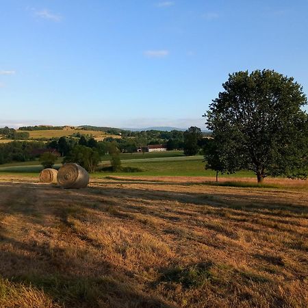 Szewska Pasja Agroturystyka Wiejska Leśna Exteriör bild