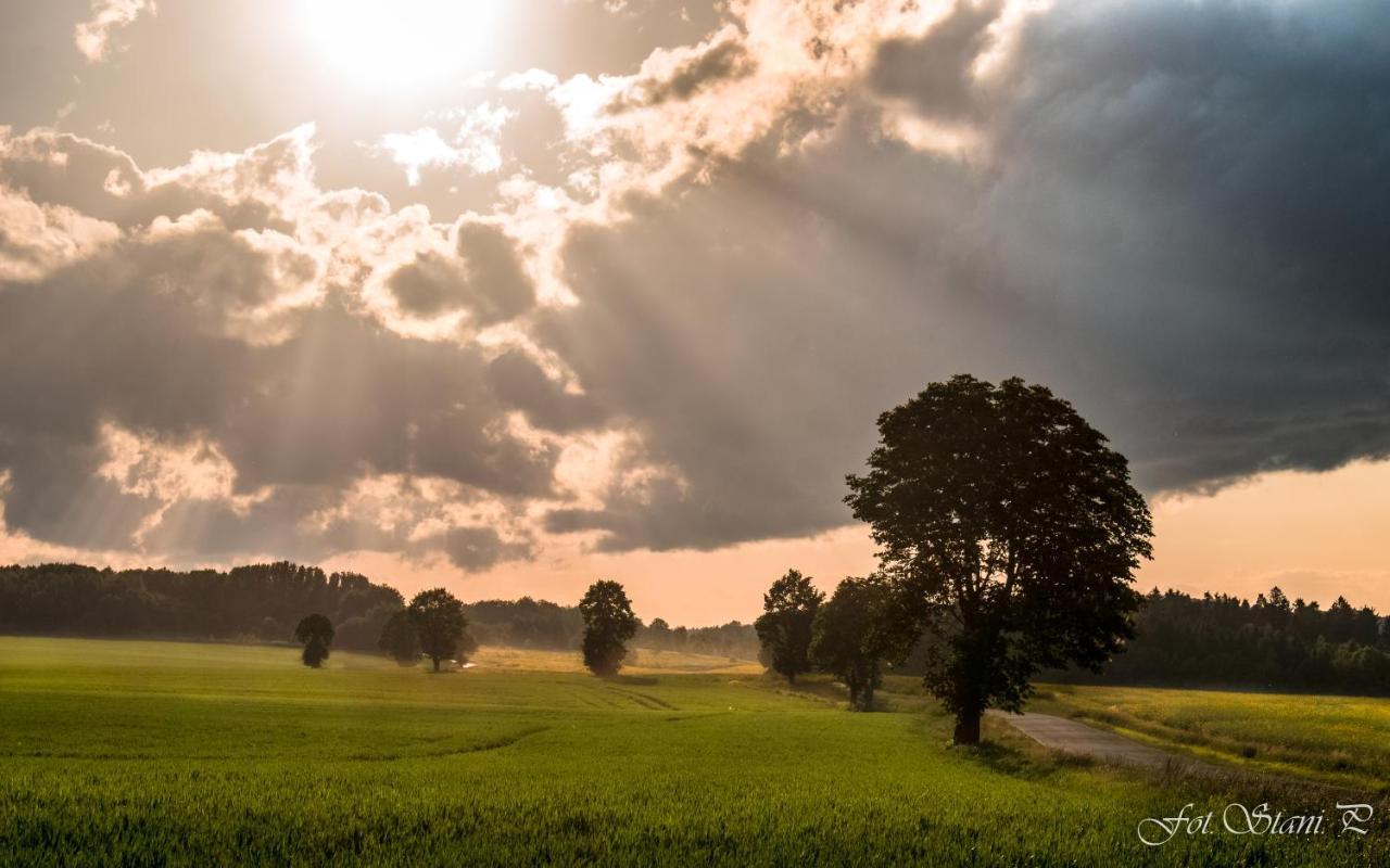 Szewska Pasja Agroturystyka Wiejska Leśna Exteriör bild