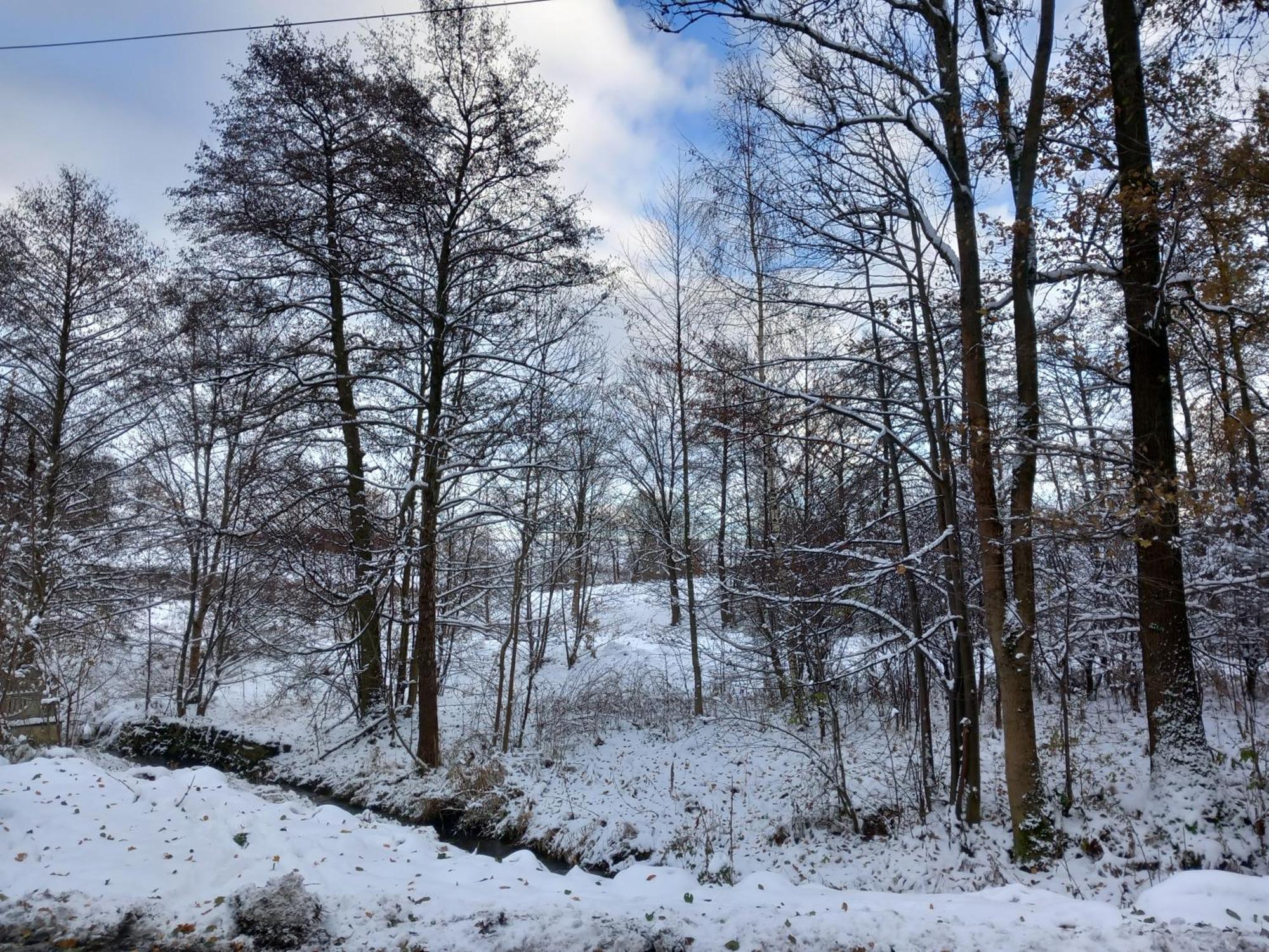Szewska Pasja Agroturystyka Wiejska Leśna Exteriör bild