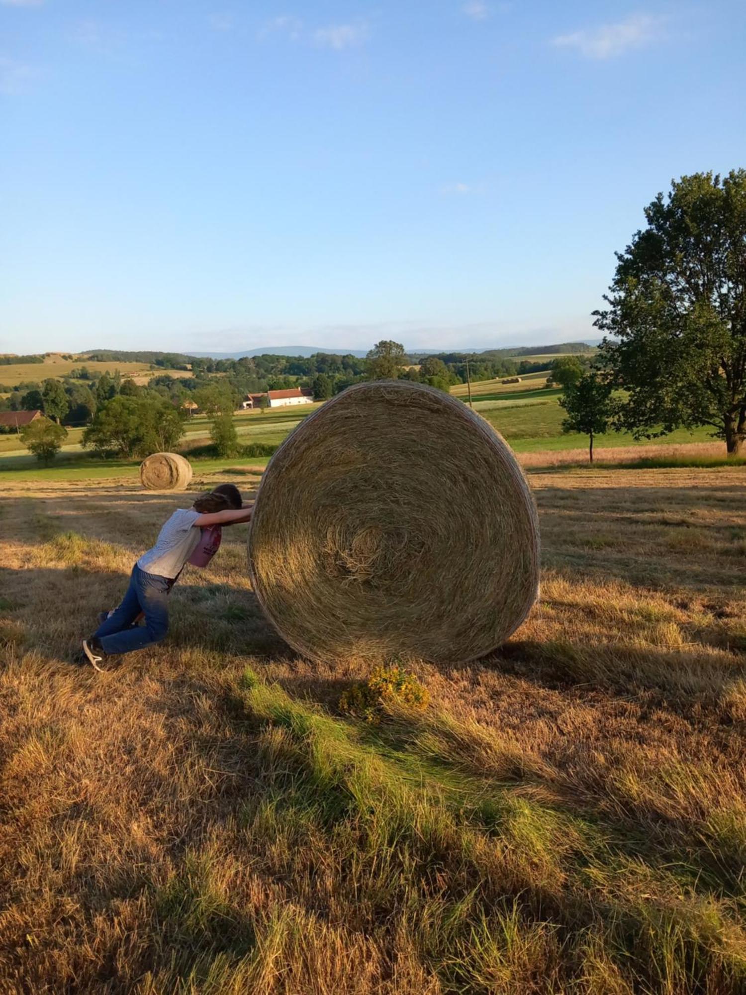 Szewska Pasja Agroturystyka Wiejska Leśna Exteriör bild