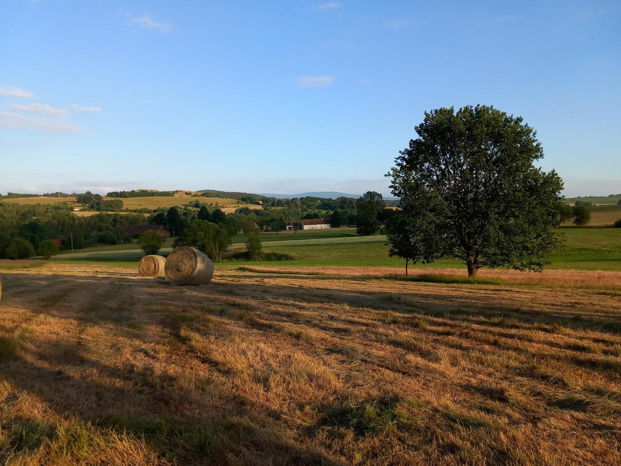 Szewska Pasja Agroturystyka Wiejska Leśna Exteriör bild
