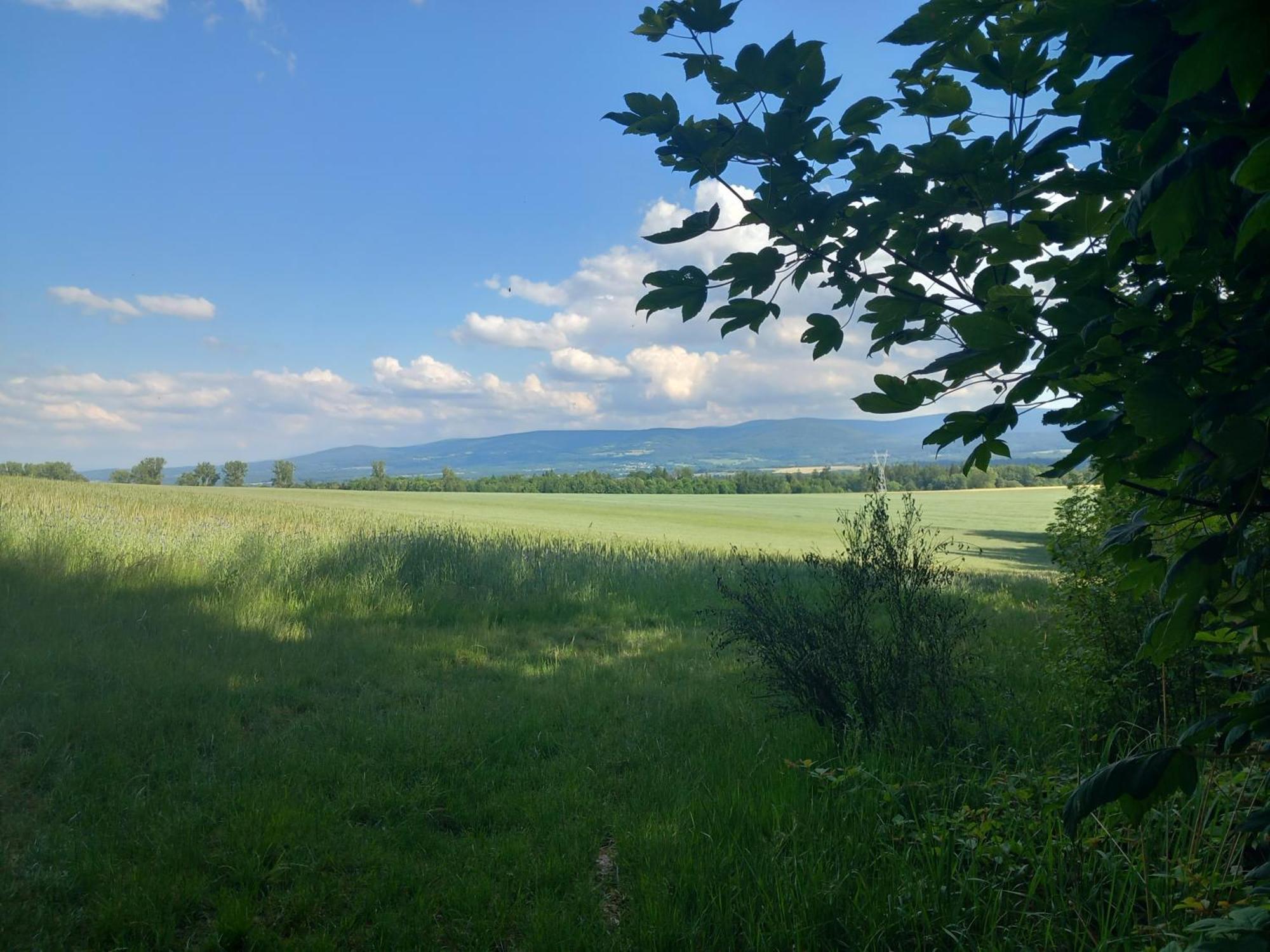Szewska Pasja Agroturystyka Wiejska Leśna Exteriör bild
